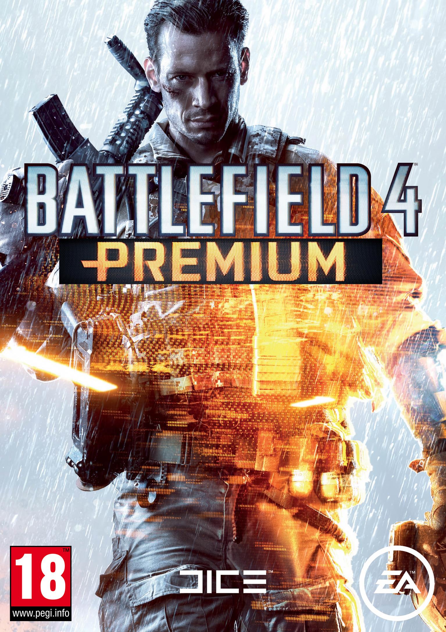 Battlefield 4 - predn DVD obal 3
