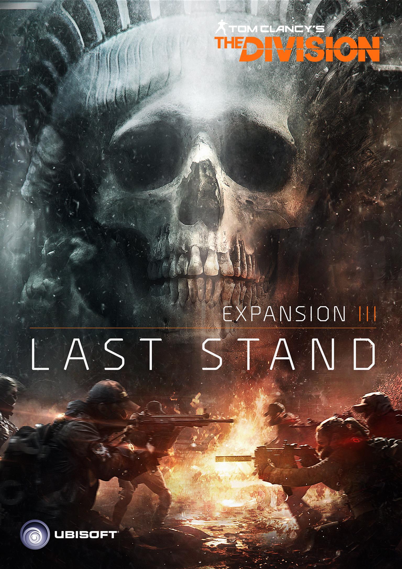The Division: Last Stand - predn DVD obal