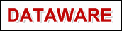 Dataware Games - logo