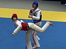 Tae Kwon Do World Champion - screenshot #19