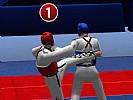 Tae Kwon Do World Champion - screenshot #10