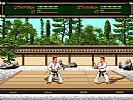 Budokan: The Martial Spirit - screenshot #30