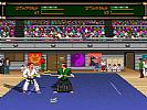 Budokan: The Martial Spirit - screenshot #16