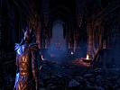 The Elder Scrolls Online: Tamriel Unlimited - screenshot #38
