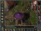 Baldur's Gate - screenshot #27