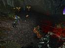 Dungeon Siege II: Deluxe Edition - screenshot #6