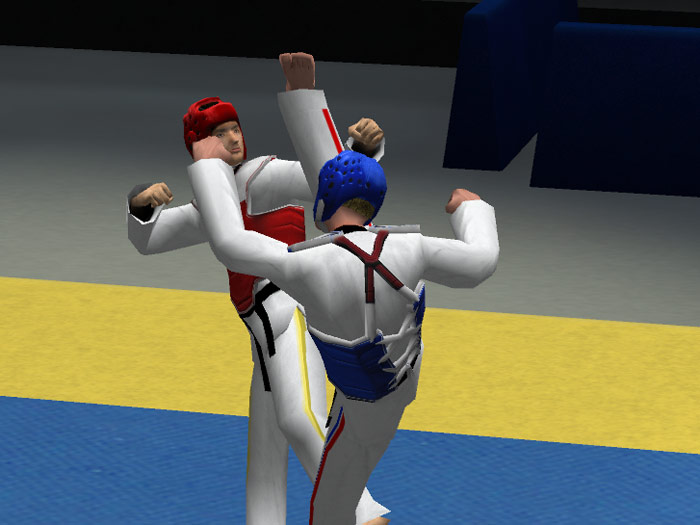 Tae Kwon Do World Champion - screenshot 24