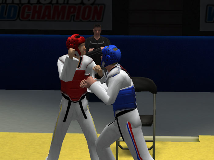 Tae Kwon Do World Champion - screenshot 21