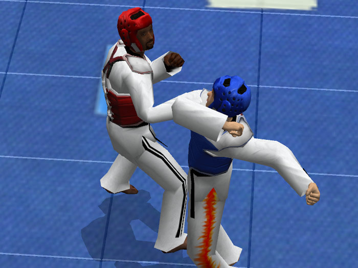 Tae Kwon Do World Champion - screenshot 16