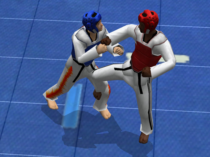 Tae Kwon Do World Champion - screenshot 15