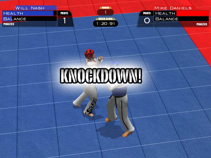 Tae Kwon Do World Champion - screenshot 12