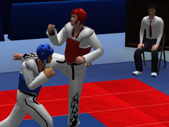 Tae Kwon Do World Champion - screenshot 9
