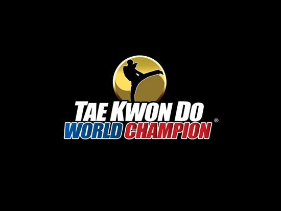 Tae Kwon Do World Champion - screenshot 7