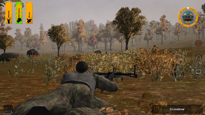 Deer Hunter Tournament - screenshot 115