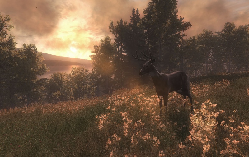 The Hunter - screenshot 4