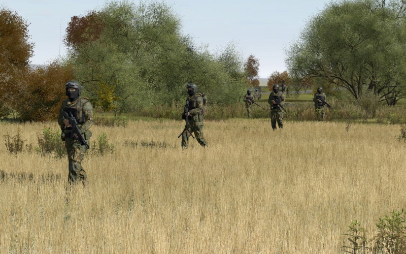ARMA II - screenshot 6