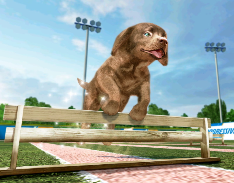 Petz Sports: Dog Playground - screenshot 7