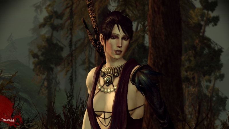 Dragon Age: Origins - screenshot 5