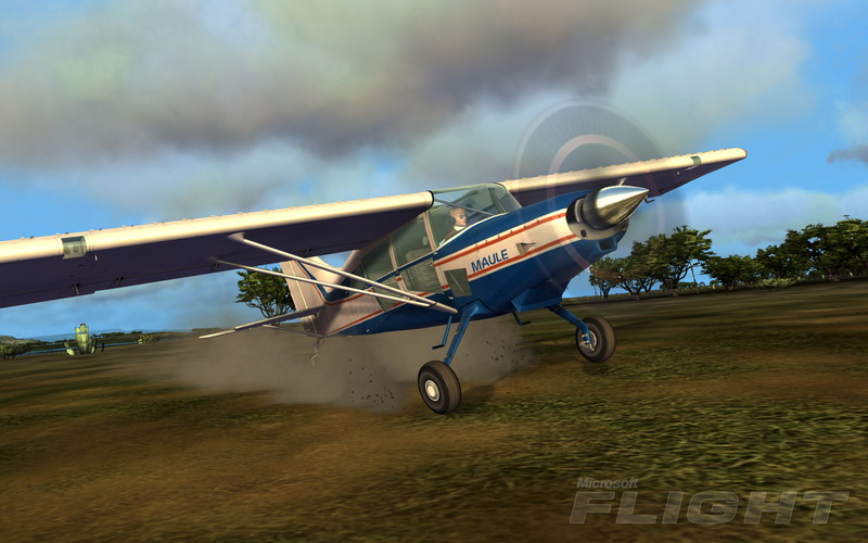 Microsoft Flight - screenshot 6