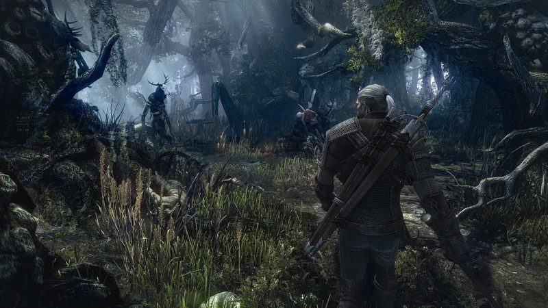 The Witcher 3: Wild Hunt - screenshot 61