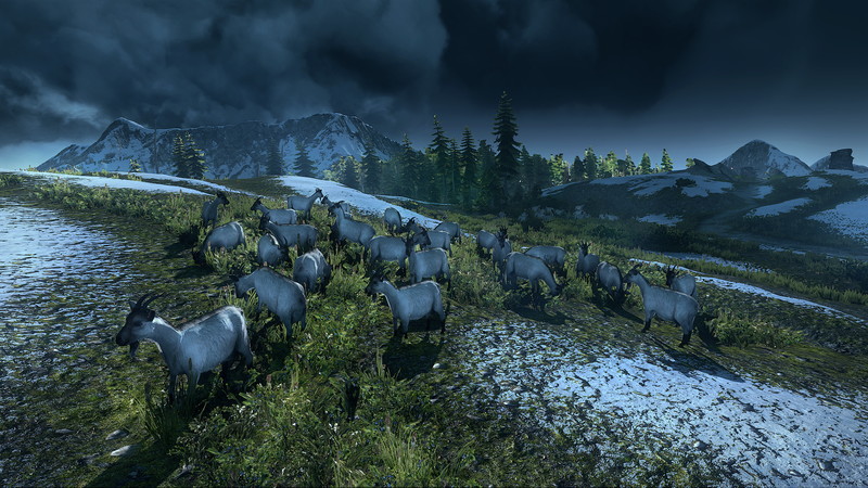 The Witcher 3: Wild Hunt - screenshot 60
