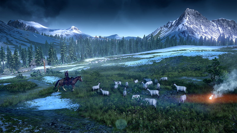 The Witcher 3: Wild Hunt - screenshot 55