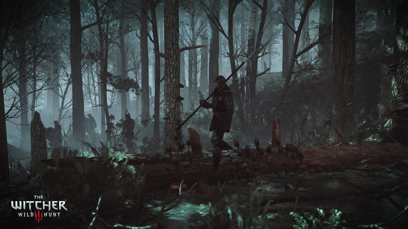 The Witcher 3: Wild Hunt - screenshot 15