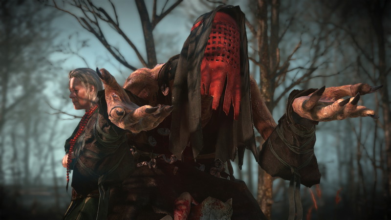 The Witcher 3: Wild Hunt - screenshot 1