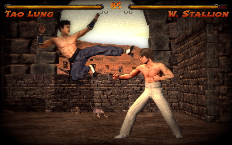 Kings of Kung Fu: Masters of the Art - screenshot 4