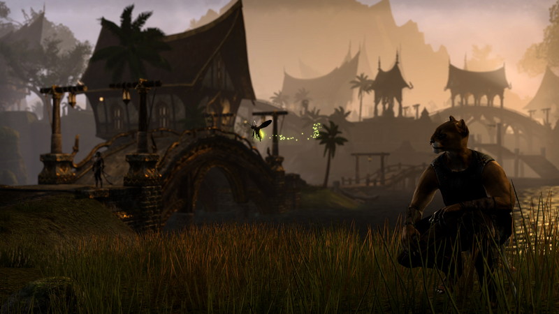 The Elder Scrolls Online: Tamriel Unlimited - screenshot 24
