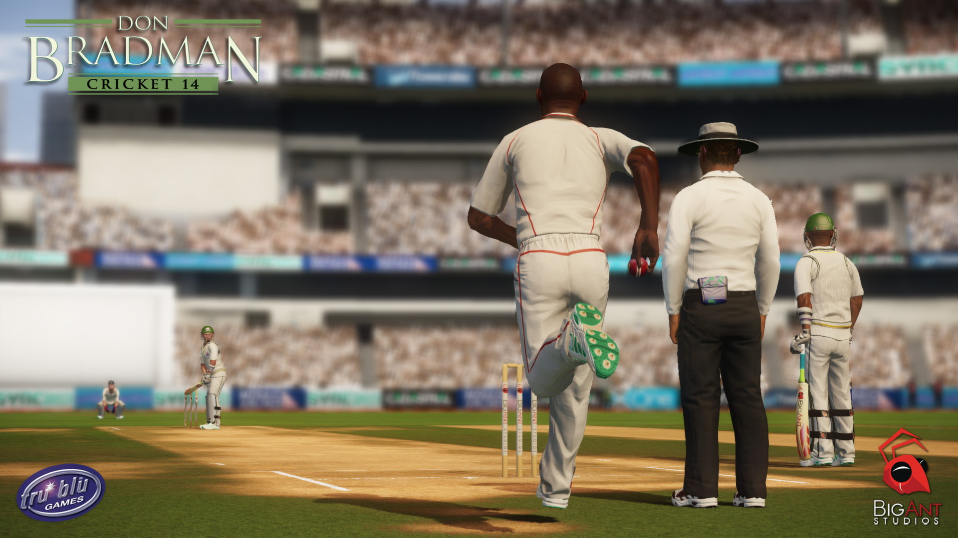 Don Bradman Cricket 14 - screenshot 1