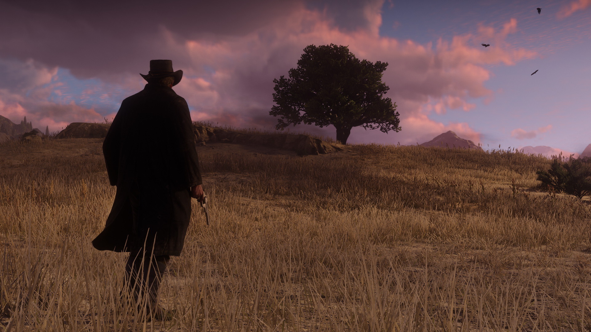 Red Dead Redemption 2 - screenshot 12