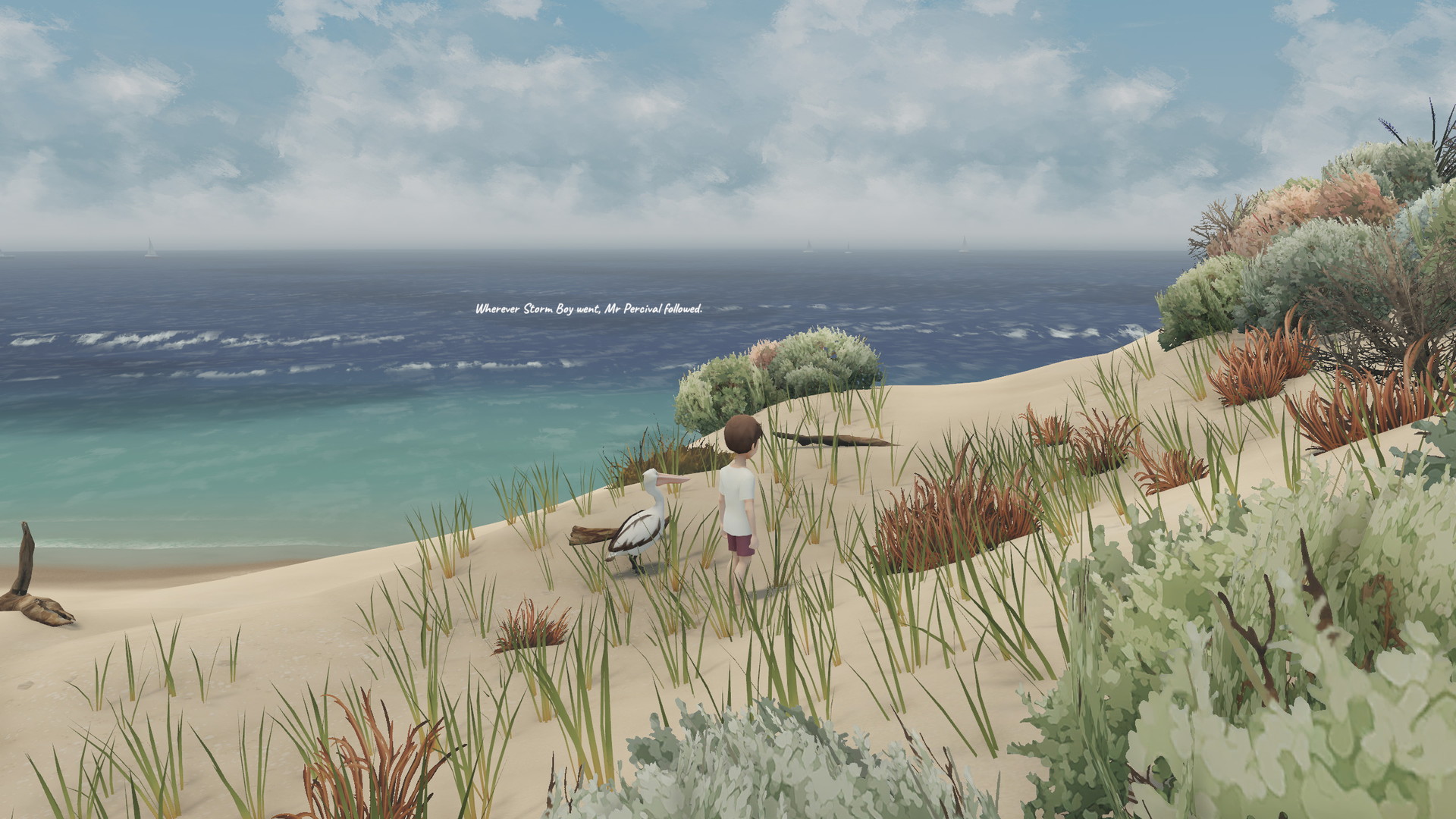Storm Boy: The Game - screenshot 4