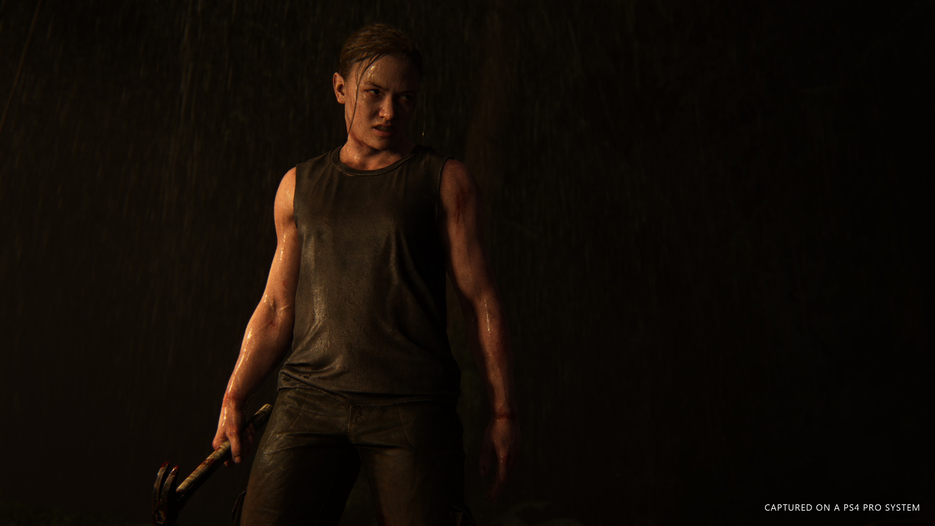 The Last of Us Part II - screenshot 13