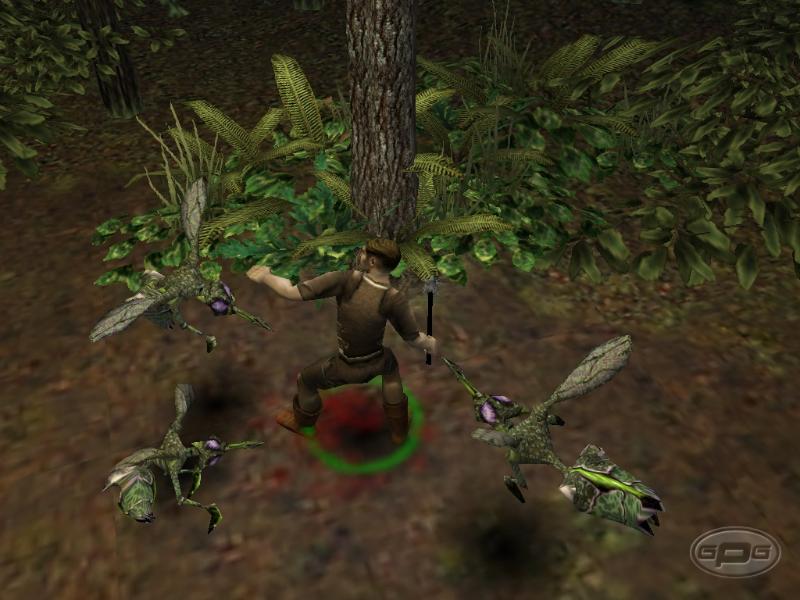 Dungeon Siege - screenshot 1