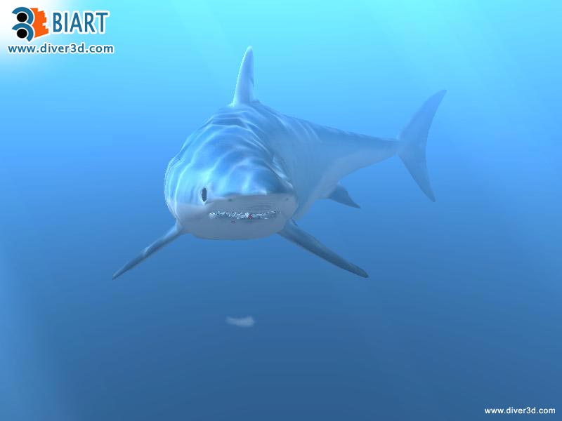 Diver: Deep Water Adventures - screenshot 175