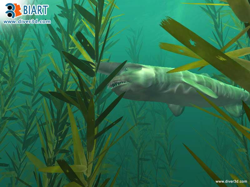 Diver: Deep Water Adventures - screenshot 173