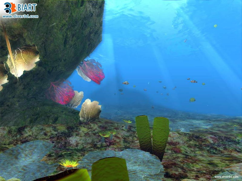 Diver: Deep Water Adventures - screenshot 156