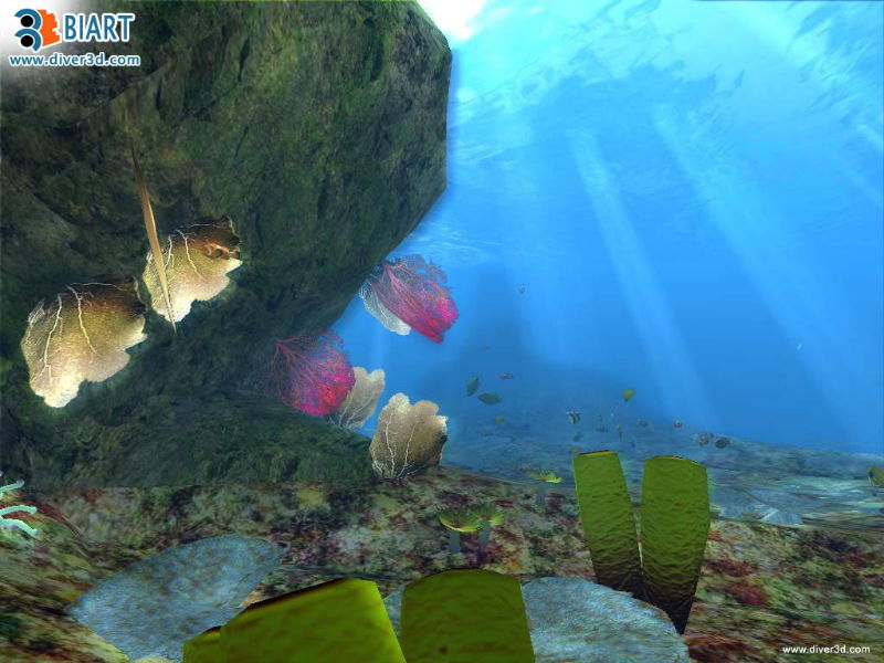 Diver: Deep Water Adventures - screenshot 154
