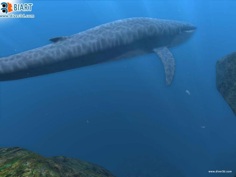 Diver: Deep Water Adventures - screenshot 152