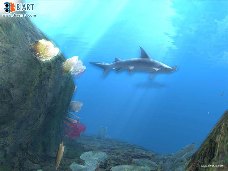 Diver: Deep Water Adventures - screenshot 146