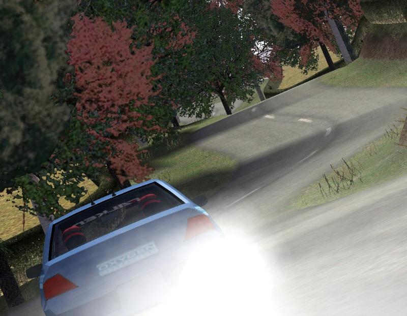 Euro Rally Champion - screenshot 4