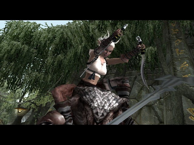 Forgotten Realms: Demon Stone - screenshot 22