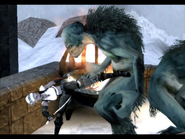 Forgotten Realms: Demon Stone - screenshot 5