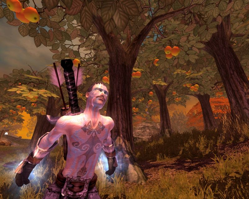 Fable: The Lost Chapters - screenshot 14