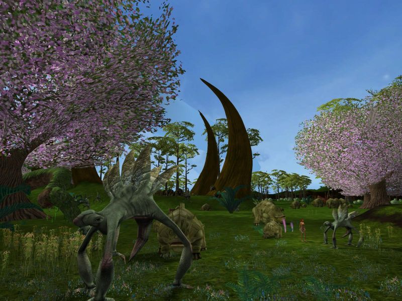 The Saga of RYZOM - screenshot 1
