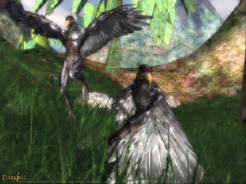 Darkfall Online - screenshot 15