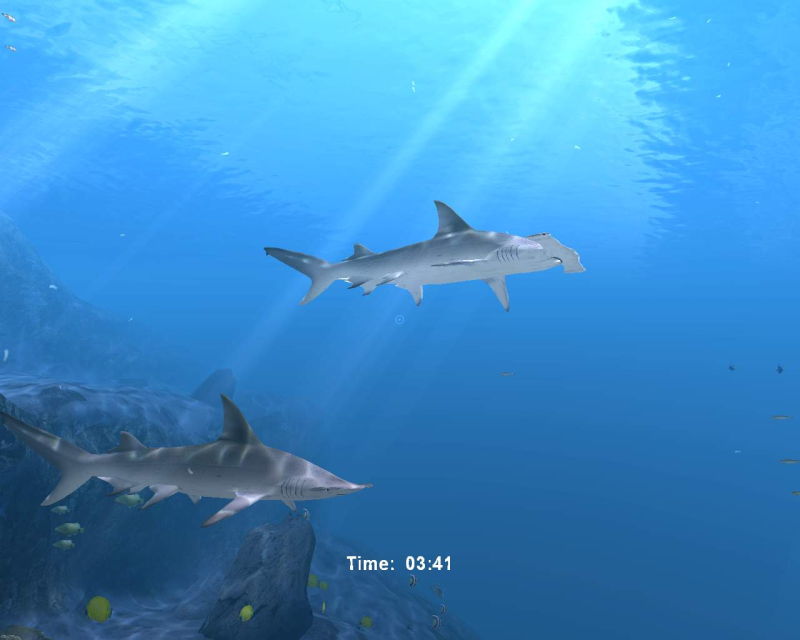 Diver: Deep Water Adventures - screenshot 89