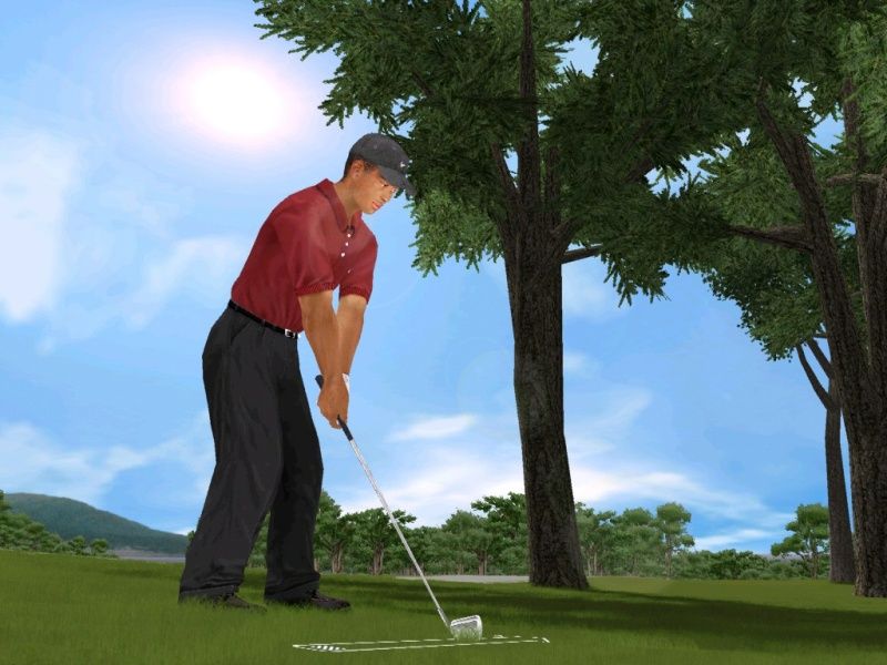 Tiger Woods PGA Tour 2003 - screenshot 2