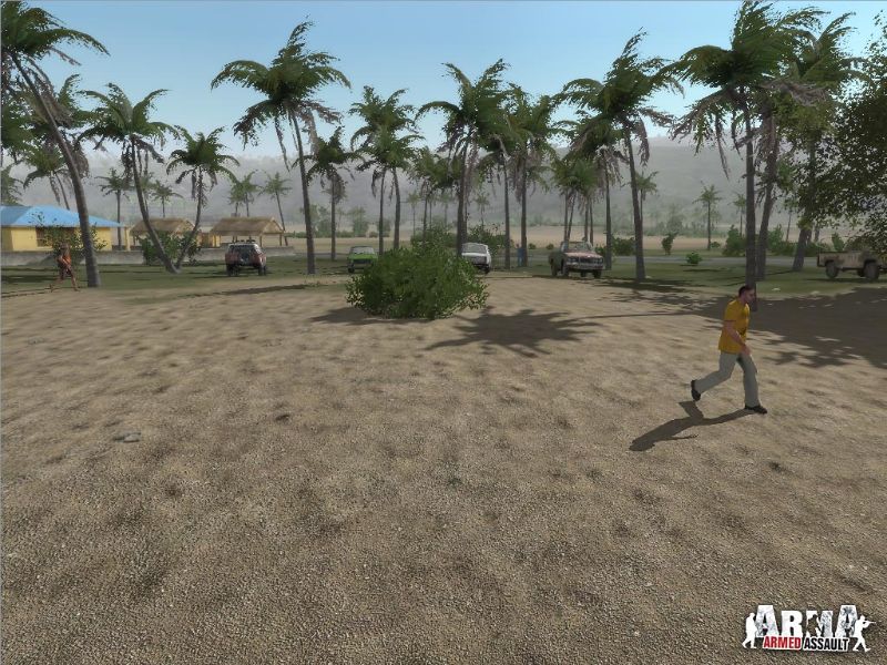 ArmA: Armed Assault - screenshot 7